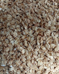 AVENA CON MIEL 1 KG