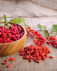 BAYAS DE GOJI 1 KG
