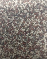 MIX DE SEMILLA