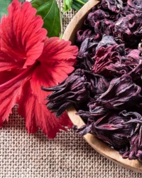 FLOR DE JAMAICA YERBA